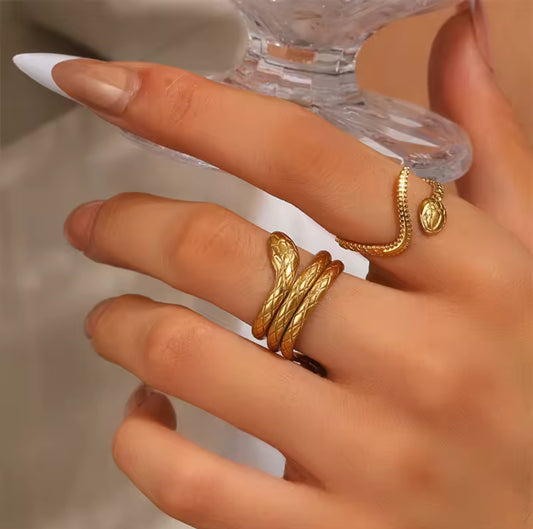 Anillo - TOP | 🛡️Acero inoxidable